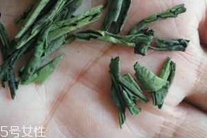 六安瓜片是紅茶還是綠茶？