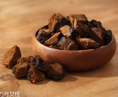 樺樹(shù)茸是中藥嗎？樺樹(shù)茸屬于中藥嗎