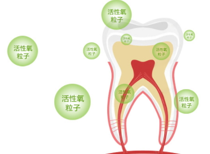 牙貼怎么分上下牙貼？牙貼怎么分正反