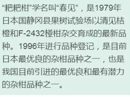 枇杷柑是丑橘嗎？枇杷柑和丑橘的區(qū)別