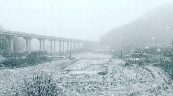 冬日初雪夢幻妝容教學