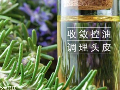 迷迭香精油怎么用？迷迭香精油使用注意事項(xiàng)