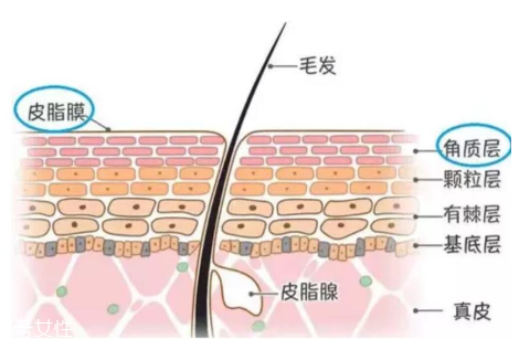 bb霜和粉底液哪個(gè)好 bb霜挑選技巧