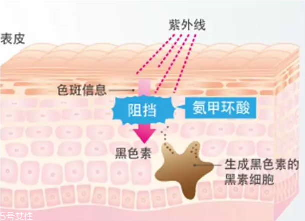 祛斑美白什么產(chǎn)品最有效 日常祛斑小妙招