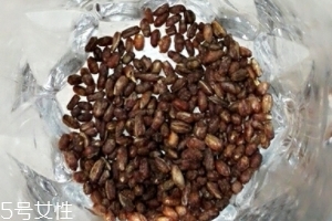 青稞茶怎么沖泡？青稞茶沖泡方法