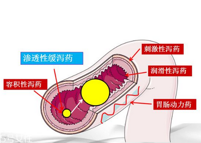 瀉藥吃了多久后開始排便？