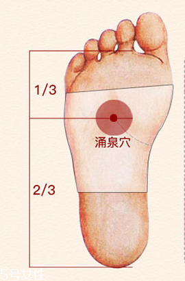 溢涌堂老北京足貼價錢 溢涌堂老北京足貼多少錢？