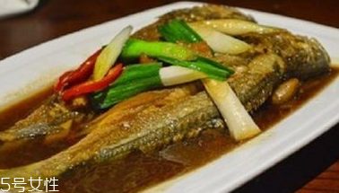 青魚是鯉魚嗎？青魚和鯉魚是不是一樣的？