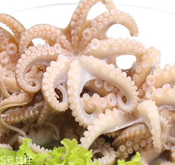 章魚是什么顏色？章魚是什么樣子？