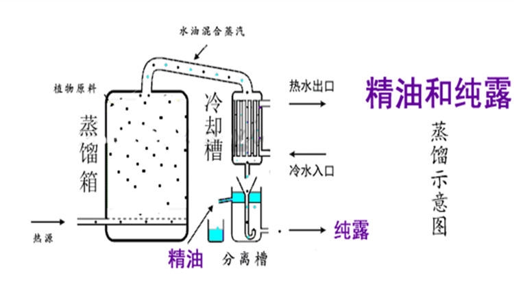 純露怎么濕敷效果好？純露濕敷的正確步驟