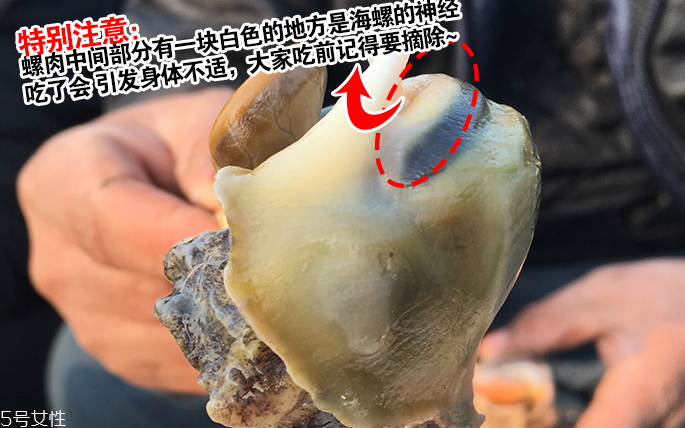 海螺會中毒嗎？吃海螺中毒多久會緩解？