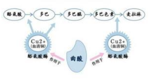 干性皮膚怎么去斑最好 堅(jiān)持3原則斑點(diǎn)拜拜