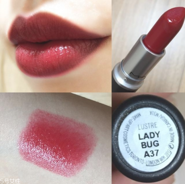 mac ladybug和迪奧999哪個(gè)好 mac ladybug試色