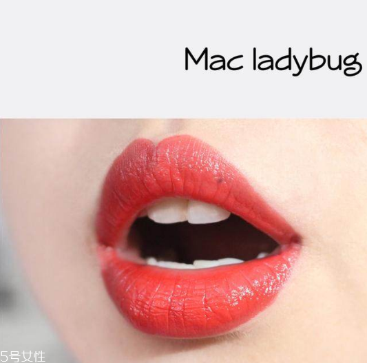 mac cockney和ladybug哪個好 mac cockney試色