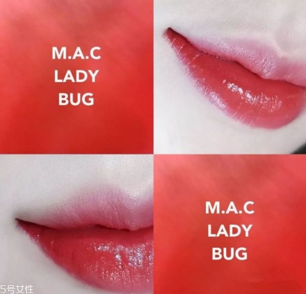 mac ladybug和迪奧999哪個(gè)好 mac ladybug試色