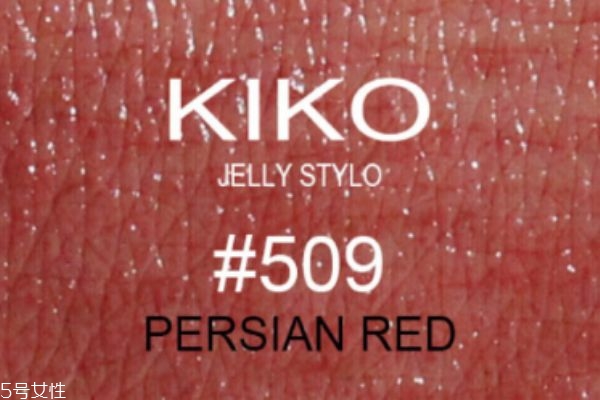 kiko509是什么顏色 kiko509試色