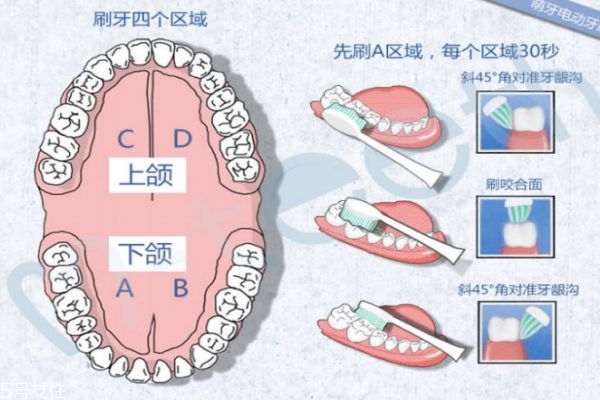 飛利浦電動(dòng)牙刷怎么用 手把手教你如何使用電動(dòng)牙刷