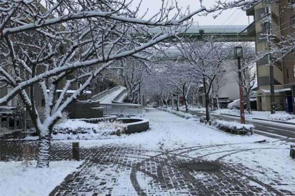 冬天防滑小常識(shí) 雨雪天防滑小竅門(mén)