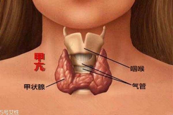 治療?甲亢的中醫(yī)具體實施方法