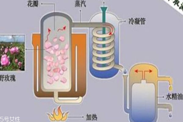 純露和精油哪個好 純露更為安全