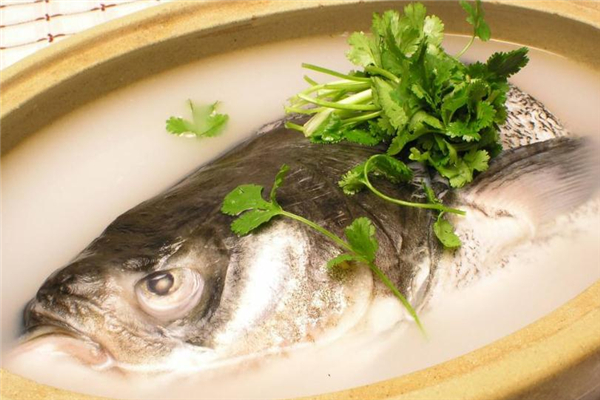 鳙魚(yú)是什么魚(yú) 營(yíng)養(yǎng)美味食材