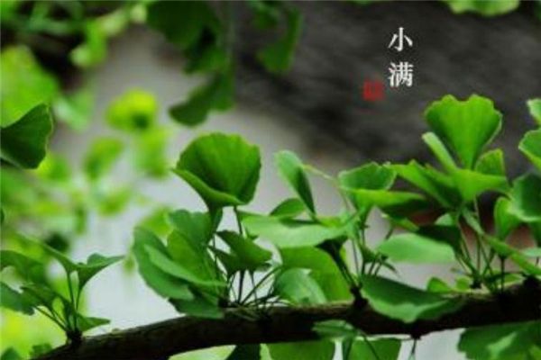 小滿節(jié)氣可以同房嗎 2019小滿節(jié)氣禁忌