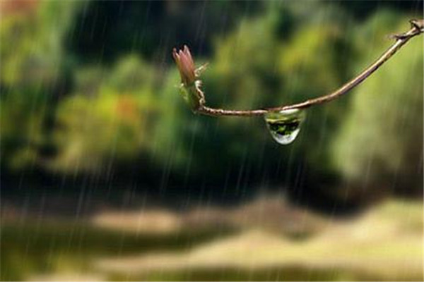 梅雨季節(jié)怎么防潮 梅雨季節(jié)防潮的方法