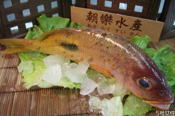 什么是鱒魚(yú)呢 鱒魚(yú)有什么營(yíng)養(yǎng)價(jià)值呢