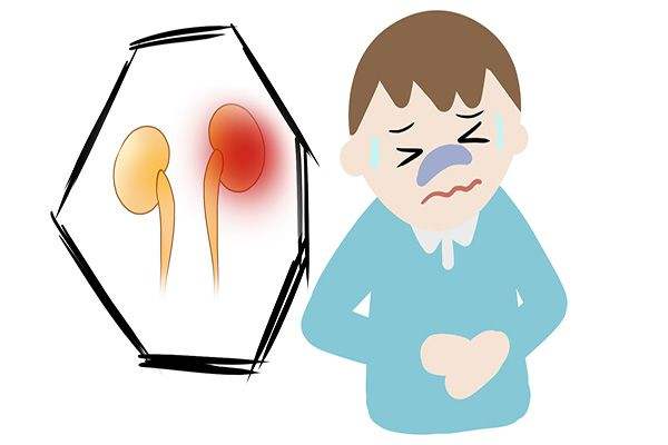 腎臟功能能下午做檢查嗎 腎臟不好做哪些檢查