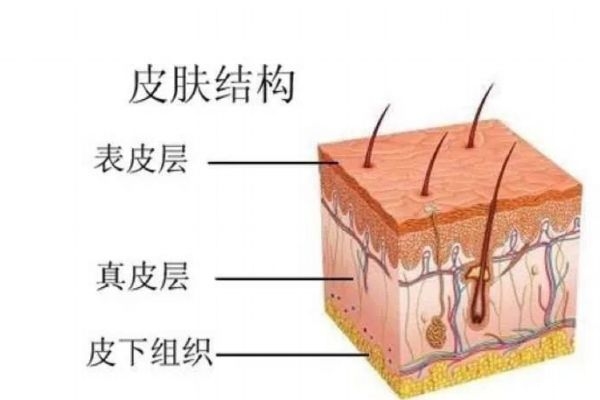 去角質層正確方法有什么呢 什么人群不能去角質層呢