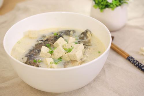 鯽魚(yú)豆腐湯能補(bǔ)鈣嗎 鯽魚(yú)牛奶湯怎么做好吃