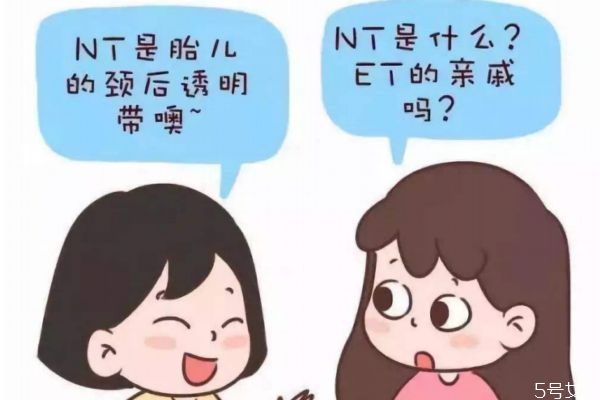 nt檢查可以什么時(shí)候做 nt檢查什么時(shí)候做最準(zhǔn)確