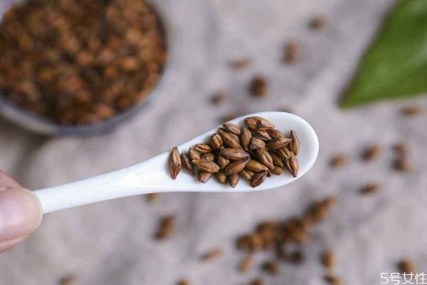 大麥茶能去濕氣嗎 大麥茶有去濕氣的效果嗎