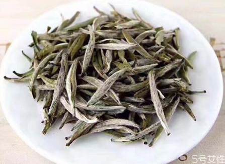 福鼎白茶屬于什么茶類 福鼎白茶怎么泡好喝