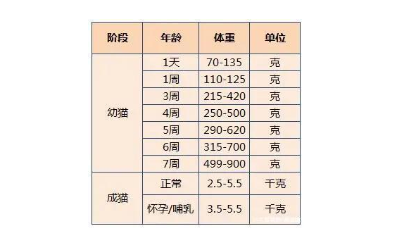 3個(gè)月小貓的正常體重 貓咪體重年齡對(duì)照表