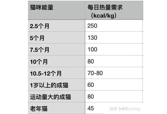 3個(gè)月小貓的正常體重 貓咪體重年齡對(duì)照表