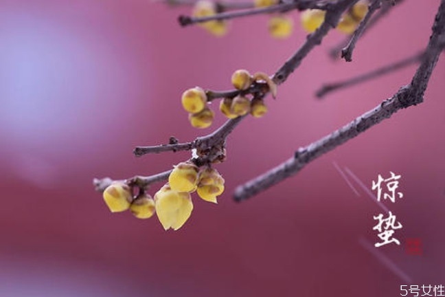 驚蟄寓意好嗎 驚蟄節(jié)氣最大的特點(diǎn)是什么