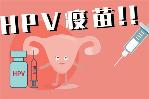 hpv疫苗是宮頸癌疫苗嗎 hpv疫苗和宮頸癌疫苗有什么區(qū)別