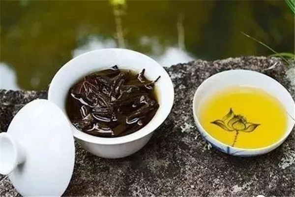 烏龍茶能冷泡嗎 烏龍茶怎么泡才正確