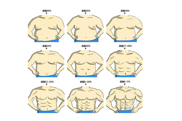 體脂率是脂肪率嗎 體脂率是怎么測(cè)出來(lái)的