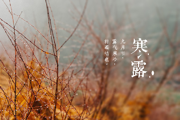 寒露養(yǎng)生吃什么最好 寒露喝什么茶合適