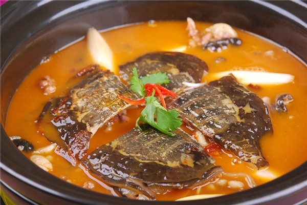 甲魚(yú)膽汁腌制甲魚(yú)能去腥嗎 甲魚(yú)膽汁的功效和作用