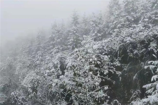 降雪的必要條件 降雪量的等級標(biāo)準(zhǔn)