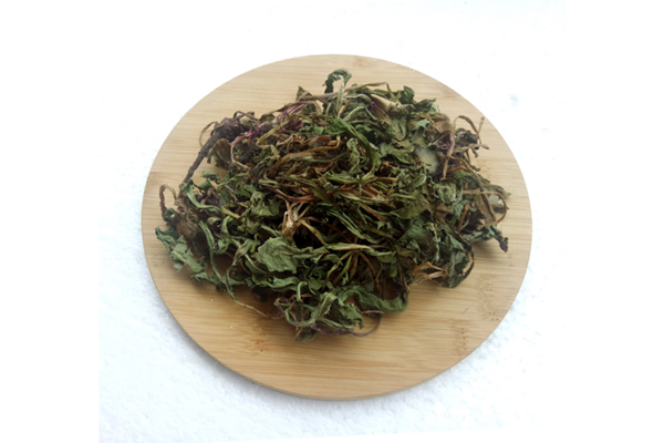 蒲公英茶是涼性還是熱性 蒲公英茶是綠茶嗎