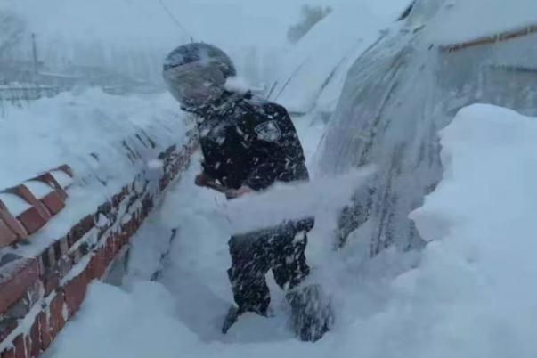 暴風雪的危害有哪些 極寒暴風雪冰封通遼