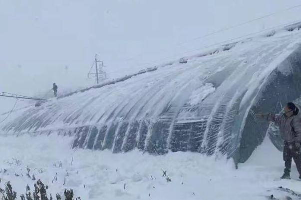 暴風雪的危害有哪些 極寒暴風雪冰封通遼