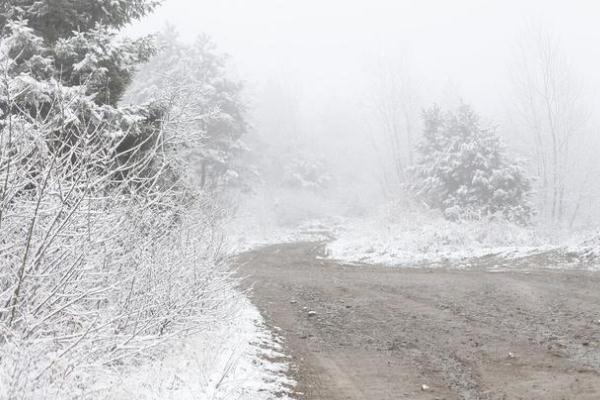 暴風(fēng)雪是什么意思 黑龍江多地遭遇暴風(fēng)雪