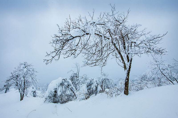 大雪節(jié)氣會下雪嗎 大雪節(jié)氣一定會下雪嗎