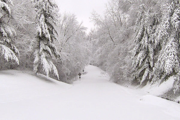 大雪節(jié)氣會(huì)下雪嗎 大雪節(jié)氣一定會(huì)下雪嗎