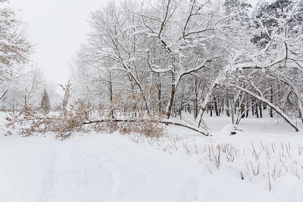 大雪節(jié)氣是一年中第幾個(gè)節(jié)氣 大雪節(jié)氣是一年中最冷的嗎